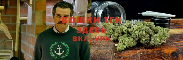 спиды Магас