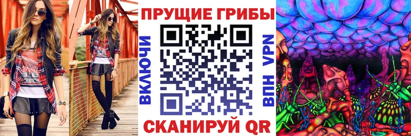 Галлюциногенные грибы ЛСД  что такое наркотик  Петропавловск-Камчатский 